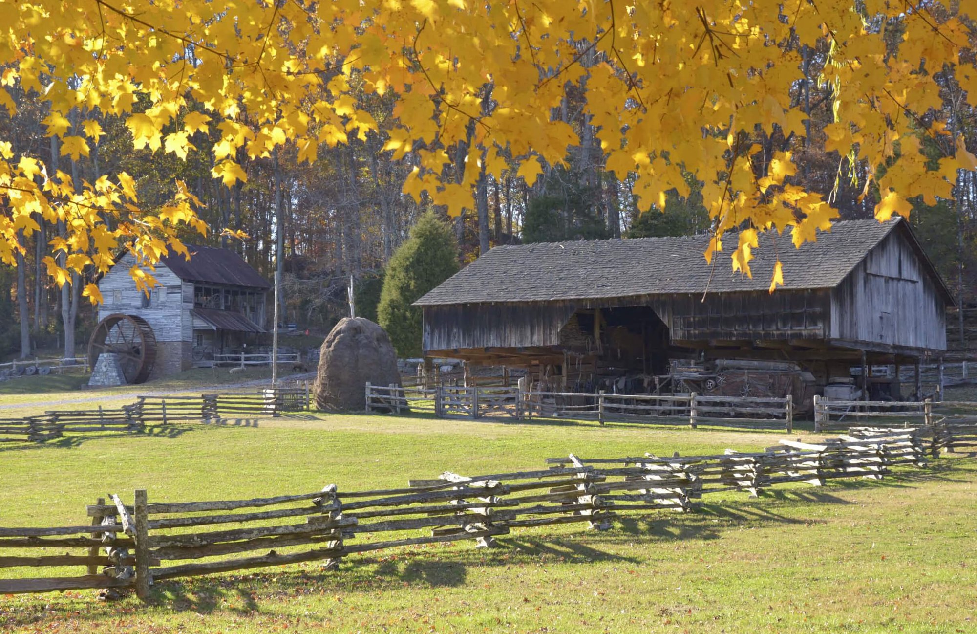 Fall_at_-the_Museum_of_Appalachia