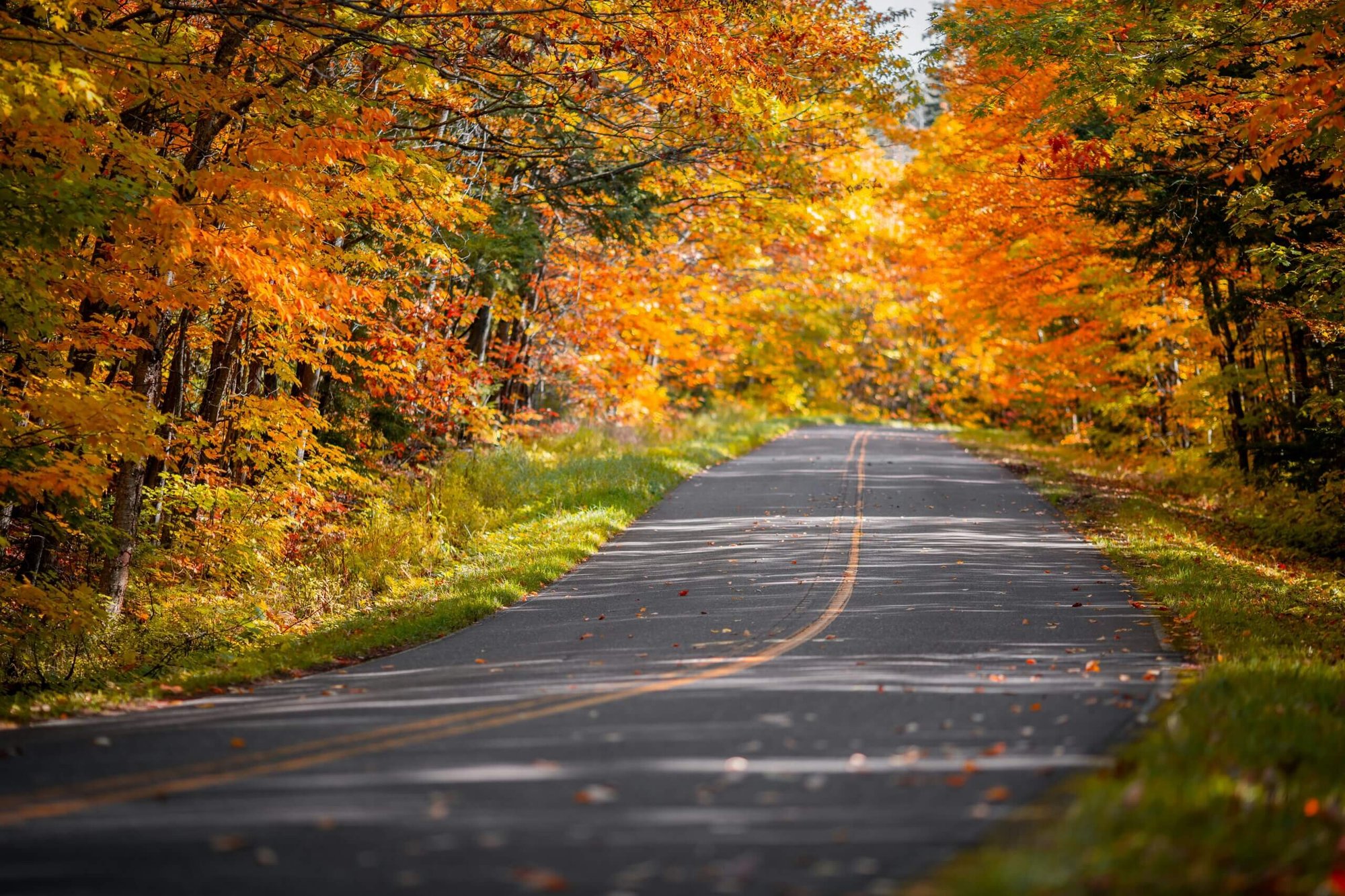 dave-hoefler-H8bnRXmN33I-unsplash-scaled